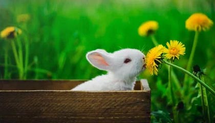 国羽时隔10年再夺世锦赛男单冠军,石宇奇首个单项世界冠军,拿出了120%的努力,“我只想赢,但不怕输”